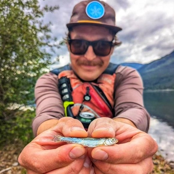 Meet your Posher, Brandon - Picture 1 of 1